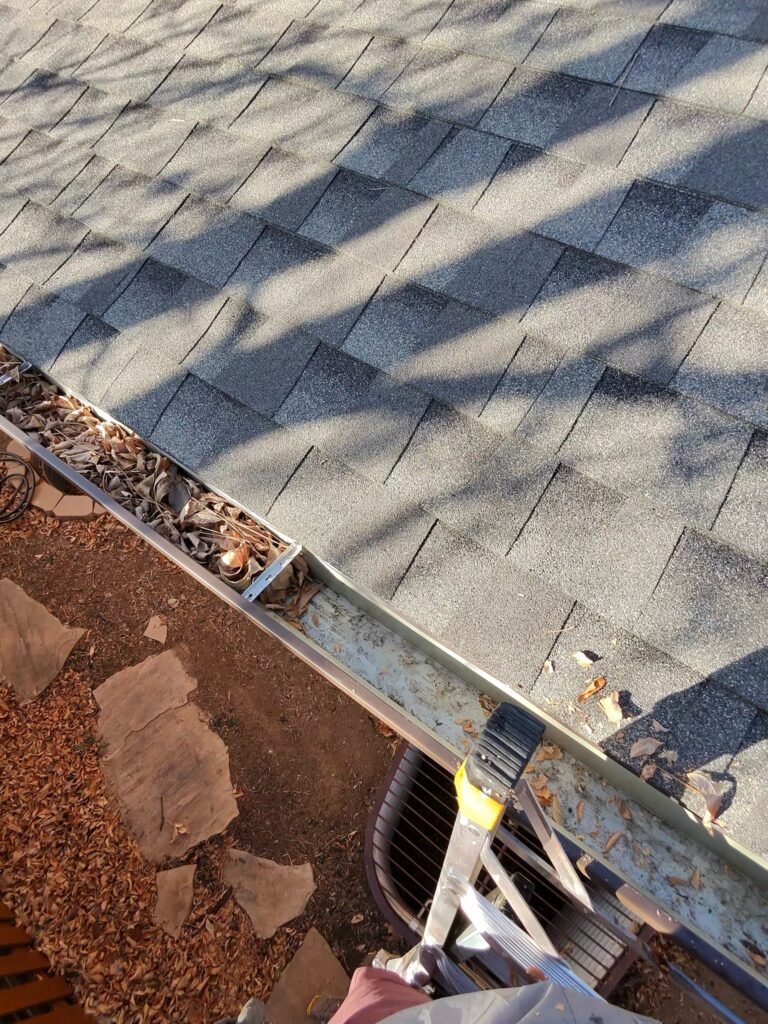 Gutter Cleaning