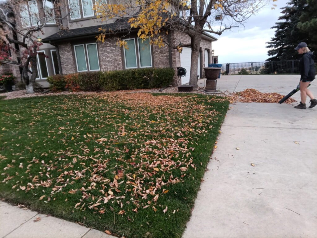 Leaf Cleanup & Fall Yard Prep