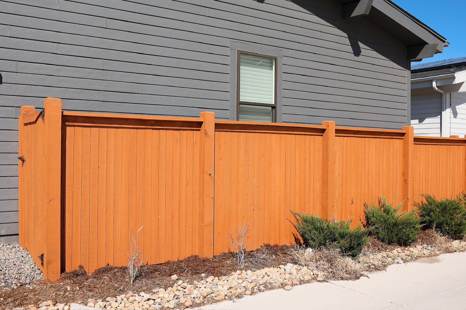 freshly stained privacy fence 1